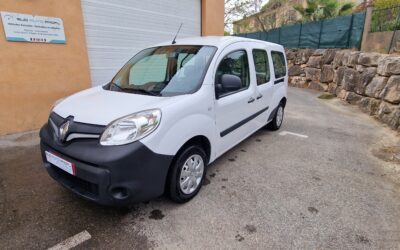 Renault Kangoo maxi vitré Bluedci 95